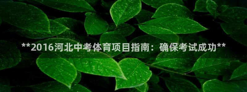 星欧娱乐官网下载