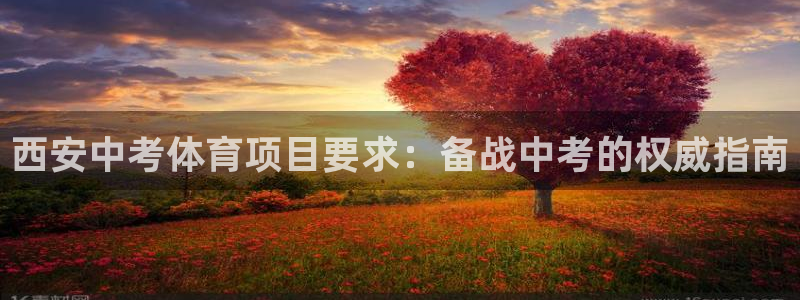 星欧娱乐官网下载安装