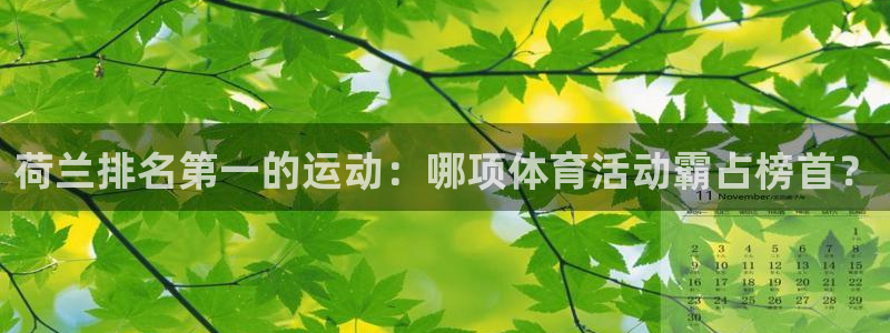 星欧娱乐联游戏评测