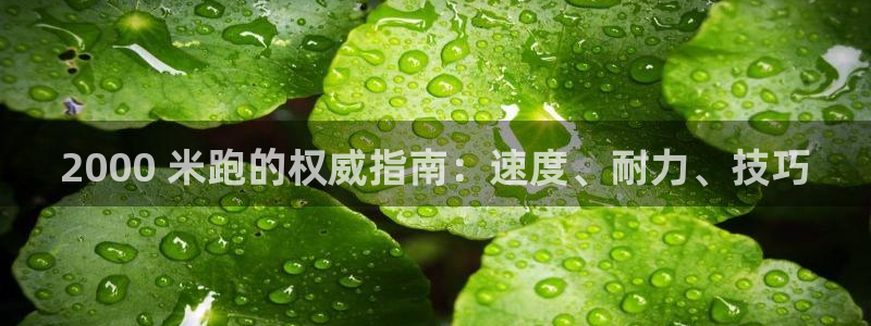 星欧娱乐测速软件下载