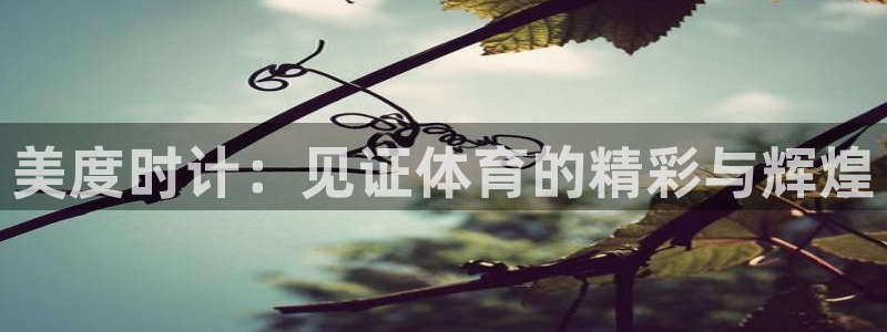 星欧娱乐的创始人背景故事
