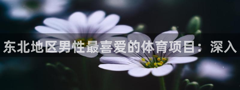 星欧娱乐平台道7O777