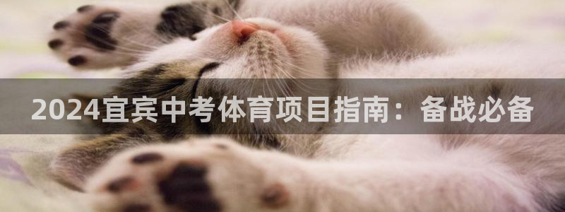 星欧娱乐