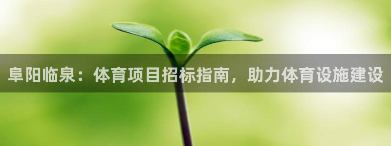 星欧娱乐扣款时间查询方法是什么呢