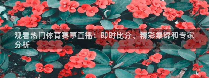 星奥娱乐集团