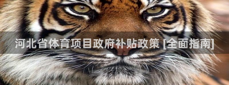 江苏星奥娱乐