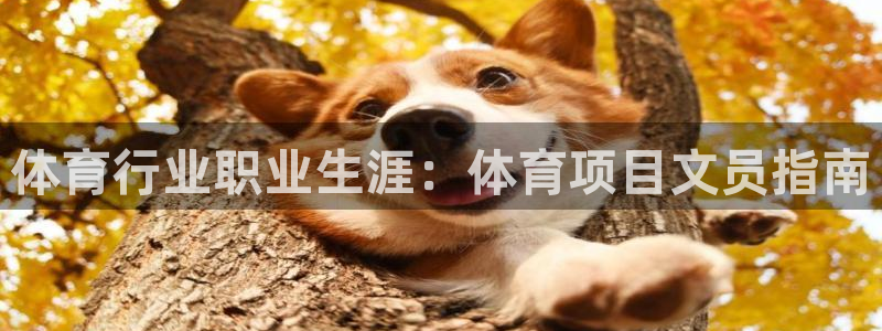 星欧娱乐会员优惠活动
