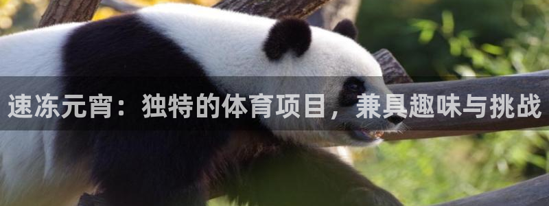 星欧娱乐工711.112怎么没有了