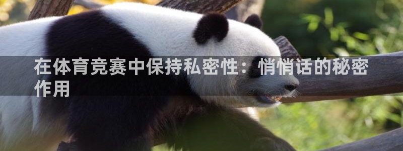 星澳娱乐公司简介