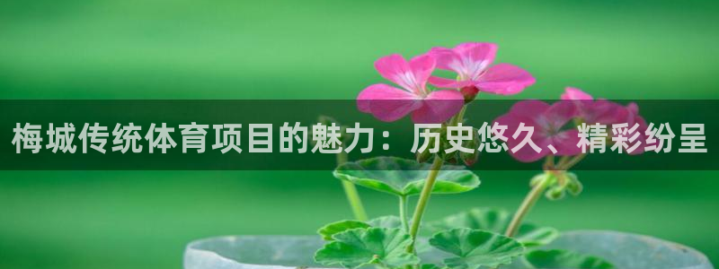 星欧娱乐银行卡怎么登录