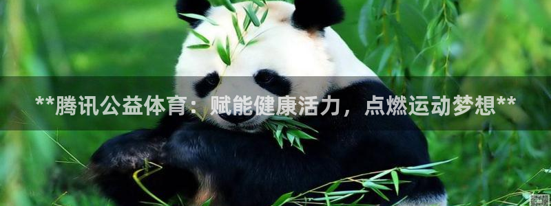 星欧娱乐总代.直开.中国