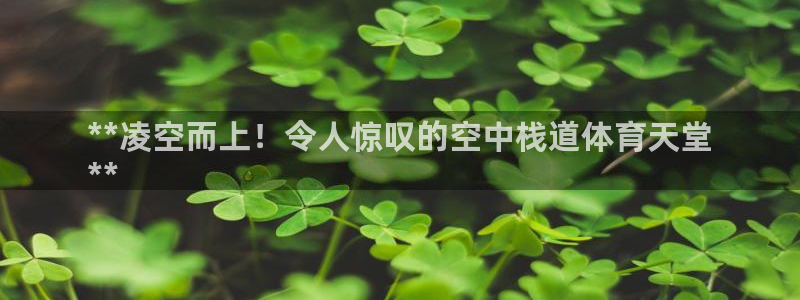 星欧娱乐官网