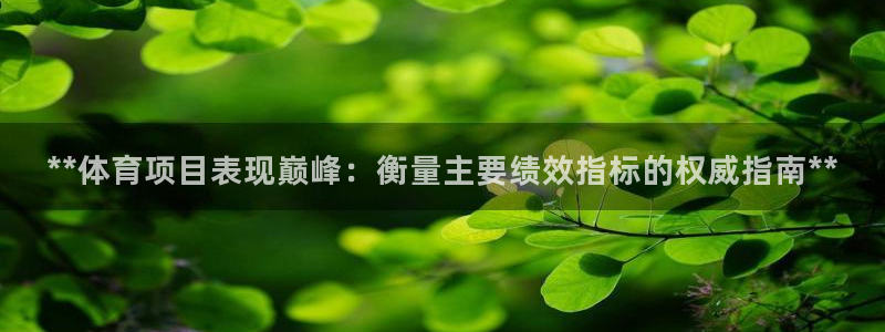 星欧娱乐挂机教程