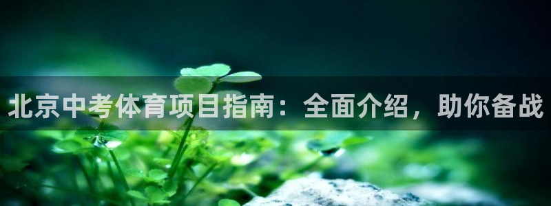 江苏星奥娱乐招艺人