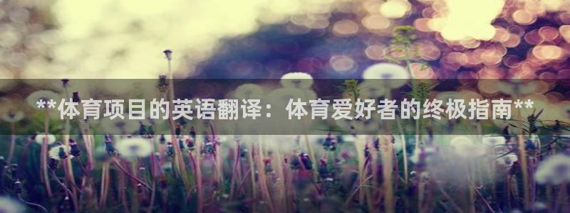 星游娱乐1官网下载