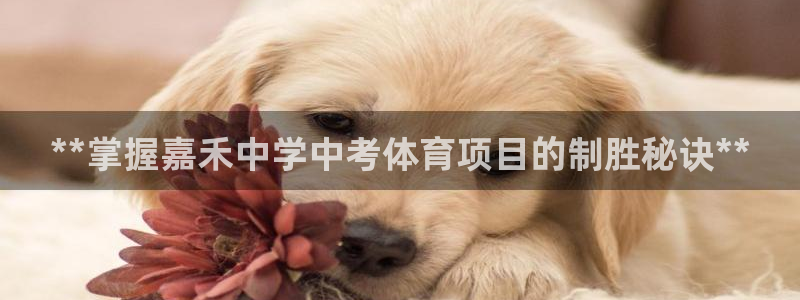 永韬星娱乐