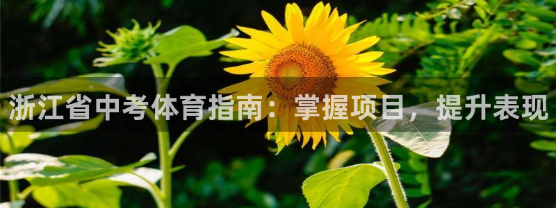 星欧娱乐扣款时间查询方法是什么意思