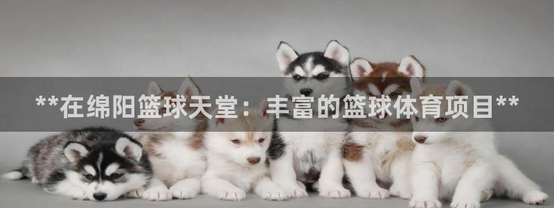 星欧娱乐发7O777
