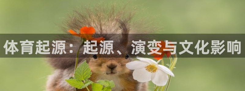 星欧娱乐官方客服联系方式