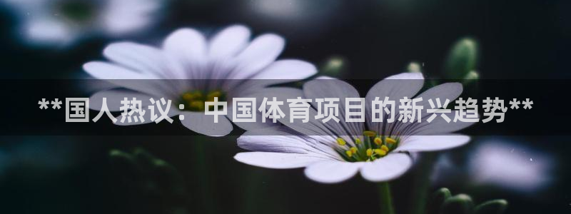 星欧娱乐最建议买的三个产品有哪些内容