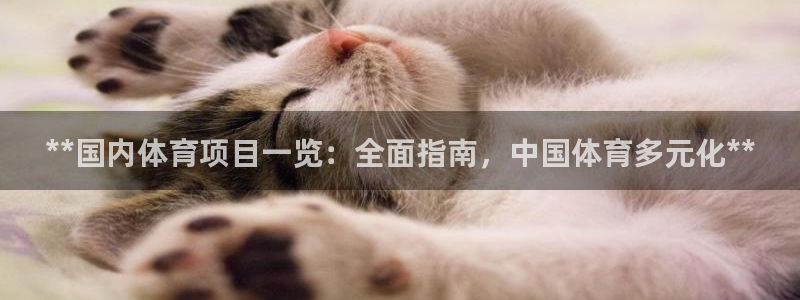 星欧娱乐官方客服联系方式查询