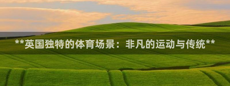 江苏星奥娱乐有限公司报名