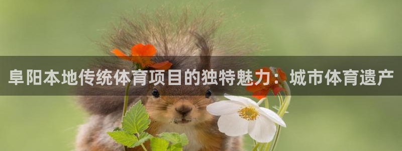 江苏星奥娱乐有限公司出过哪些艺人