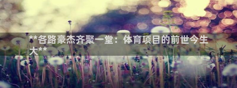 星欧娱乐最建议买的三个产品
