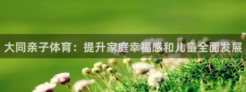 星欧娱乐属于什么档次的网站