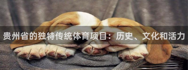 星欧娱乐平台怎么样啊