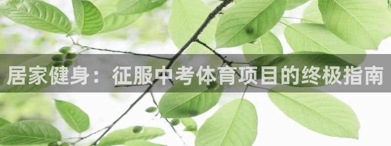 星欧娱乐属于什么档次的公司名称