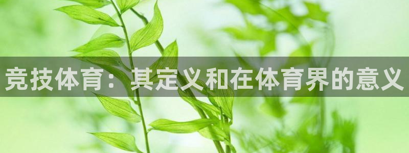 星欧娱乐的创始人背景故事是什么