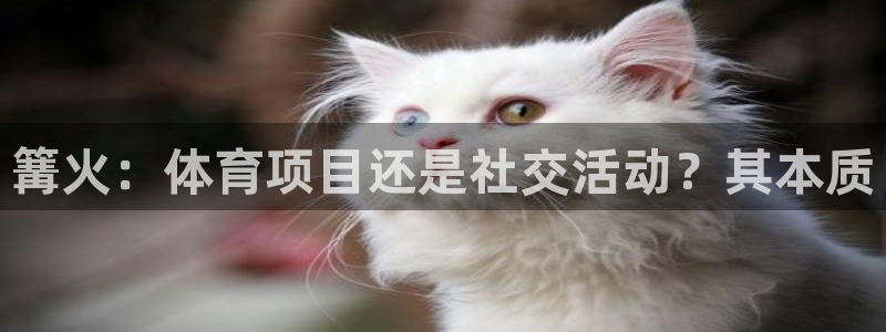 星欧娱乐测速软件下载
