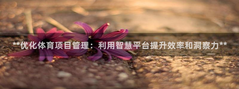 星欧娱乐扣款流程详解视频