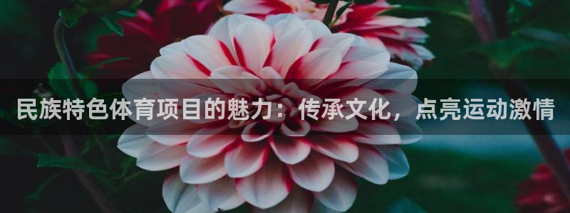 星欧娱乐法711.112扣费如何处理