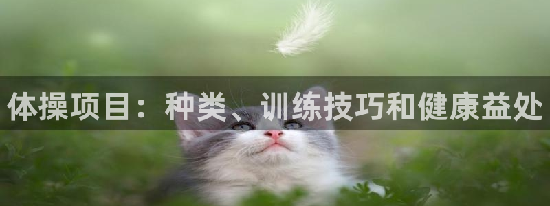 星欧娱乐平台方7O777