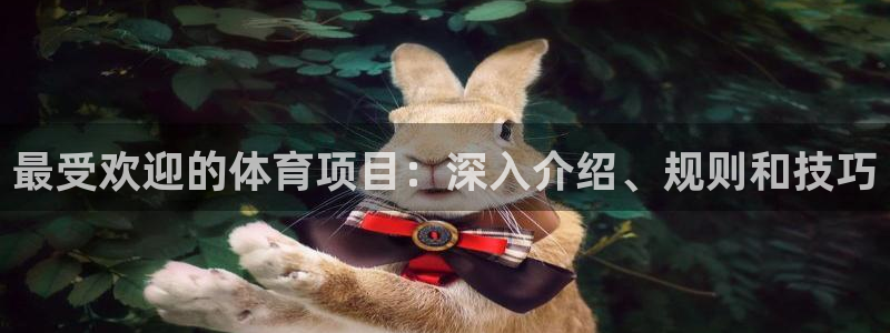 新星娱乐怎么开挂