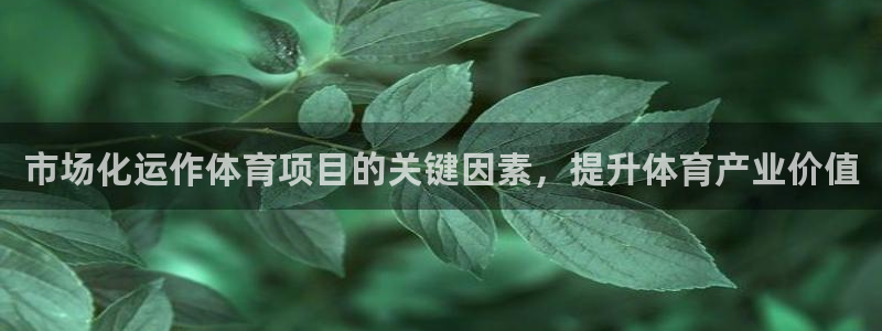 星欧娱乐属于什么档次的公司啊