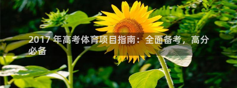 星奥娱乐艺人