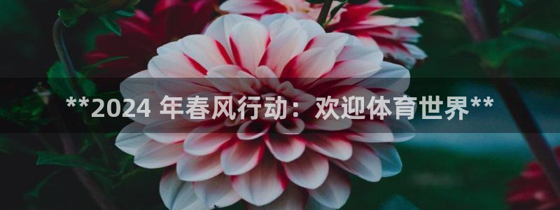 星欧娱乐法最新进展
