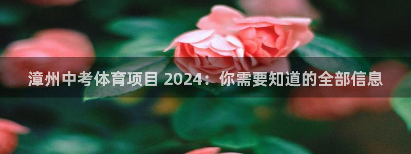 星欧娱乐平台怎么样可靠吗