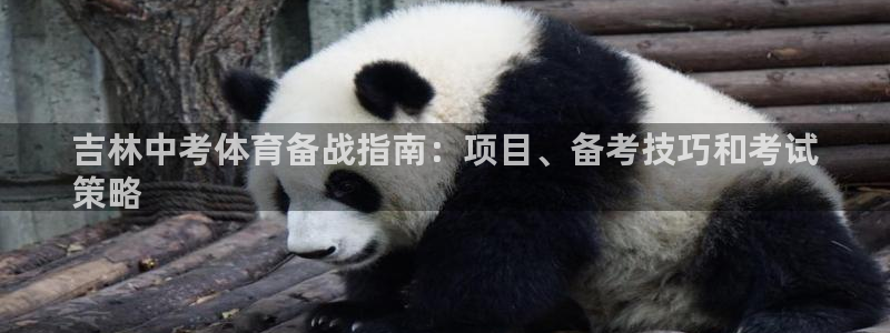 星欧娱乐退款电话人工服务