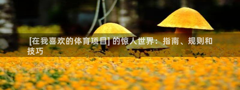 星欧娱乐扣款流程详解视频