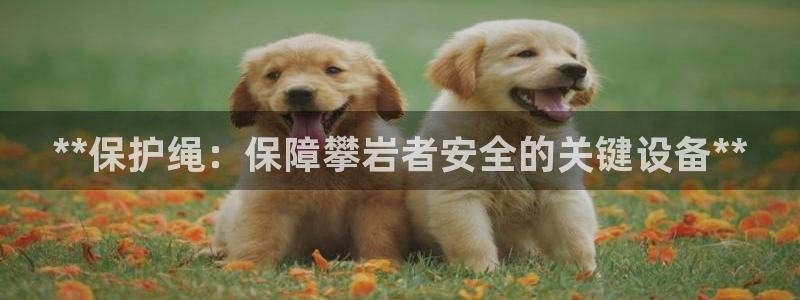 星娱乐彩票网