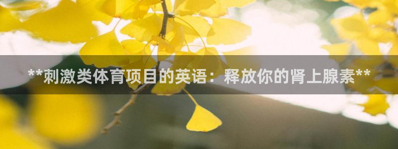 澳星国际娱乐集团
