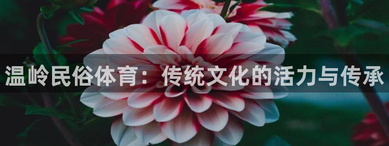 星欧娱乐属于什么档次的公司
