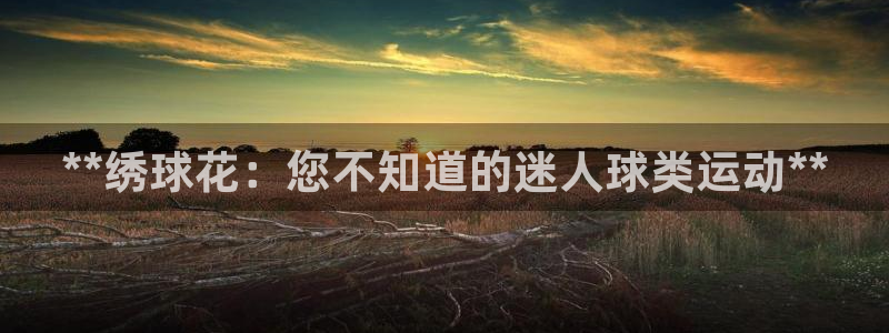 星欧娱乐平台怎么样知乎