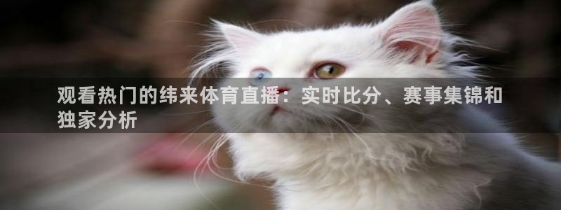 星欧娱乐是正规平台吗知乎推荐