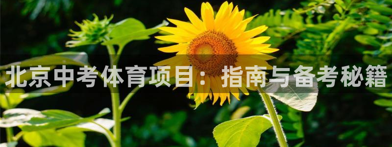 江苏星奥娱乐
