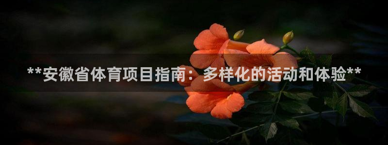 星欧娱乐的官方版本更新内容是什么